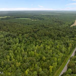 Photo #2 of Old Sandhill, Edward, NC 153.0 acres