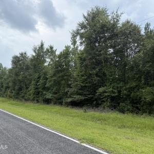 Photo #7 of Old Sandhill, Edward, NC 153.0 acres