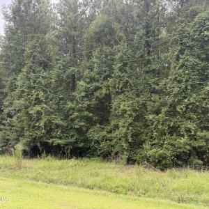 Photo #12 of Old Sandhill, Edward, NC 153.0 acres