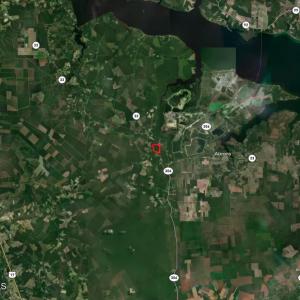 Photo #23 of Old Sandhill, Edward, NC 153.0 acres