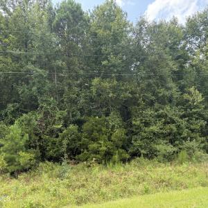 Photo #16 of Old Sandhill, Edward, NC 153.0 acres