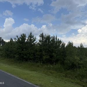 Photo #6 of Old Sandhill, Edward, NC 153.0 acres