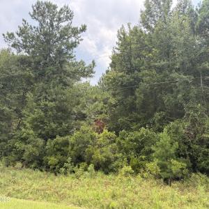Photo #17 of Old Sandhill, Edward, NC 153.0 acres