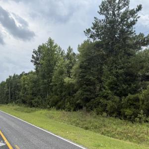Photo #18 of Old Sandhill, Edward, NC 153.0 acres
