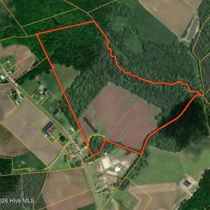 Photo #20 of Cedar Fork, Beulaville, NC 65.0 acres