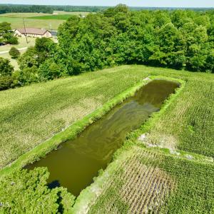 Photo #18 of Cedar Fork, Beulaville, NC 65.0 acres