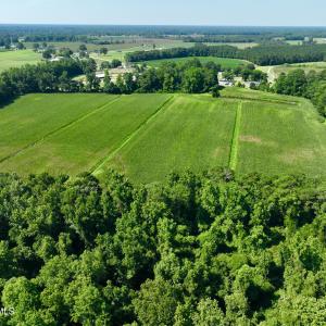 Photo #13 of Cedar Fork, Beulaville, NC 65.0 acres