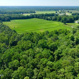 Photo #11 of Cedar Fork, Beulaville, NC 65.0 acres
