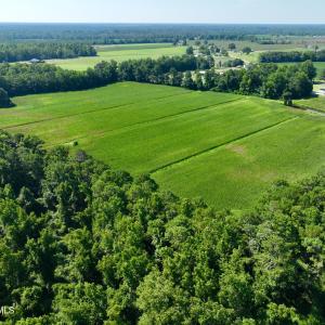 Photo #12 of Cedar Fork, Beulaville, NC 65.0 acres