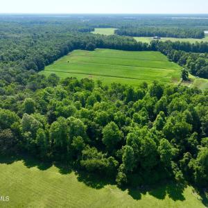 Photo #7 of Cedar Fork, Beulaville, NC 65.0 acres