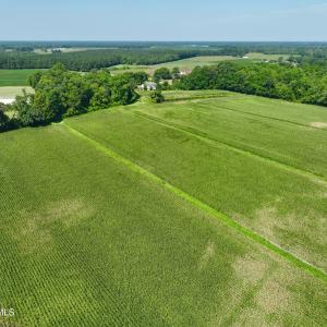 Photo #15 of Cedar Fork, Beulaville, NC 65.0 acres