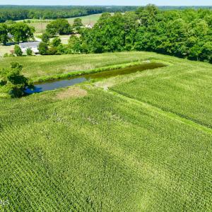 Photo #17 of Cedar Fork, Beulaville, NC 65.0 acres