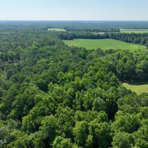 Photo #10 of Cedar Fork, Beulaville, NC 65.0 acres