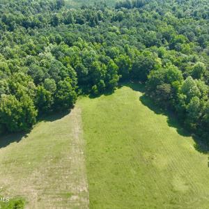 Photo #6 of Cedar Fork, Beulaville, NC 65.0 acres