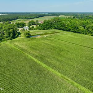 Photo #16 of Cedar Fork, Beulaville, NC 65.0 acres