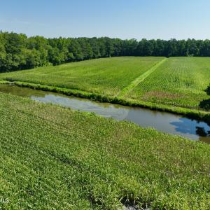 Photo #4 of Cedar Fork, Beulaville, NC 65.0 acres