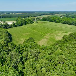 Photo #14 of Cedar Fork, Beulaville, NC 65.0 acres