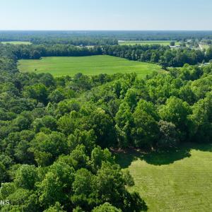Photo #9 of Cedar Fork, Beulaville, NC 65.0 acres
