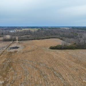 Photo #14 of Nc 222 Hwy, Fremont, NC 44.9 acres