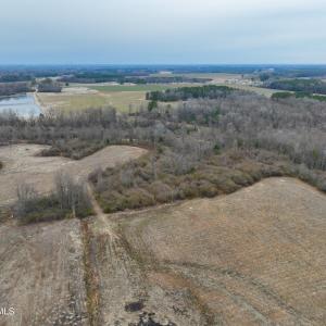 Photo #12 of Nc 222 Hwy, Fremont, NC 44.9 acres