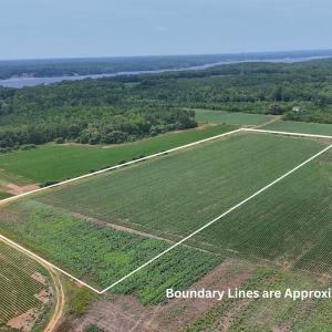 Photo #2 of Nc-46, Gaston, NC 10.0 acres
