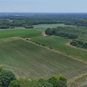 Photo #12 of Nc-46, Gaston, NC 10.0 acres