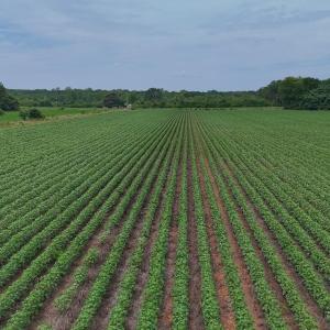 Photo #16 of Nc-46, Gaston, NC 10.0 acres