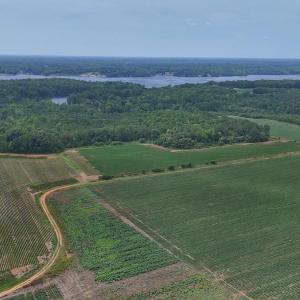 Photo #29 of Nc-46, Gaston, NC 10.0 acres