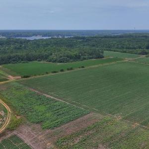 Photo #32 of Nc-46, Gaston, NC 10.0 acres