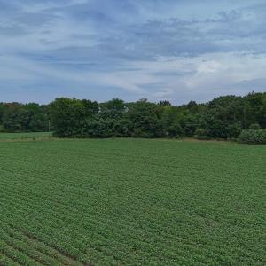 Photo #33 of Nc-46, Gaston, NC 10.0 acres