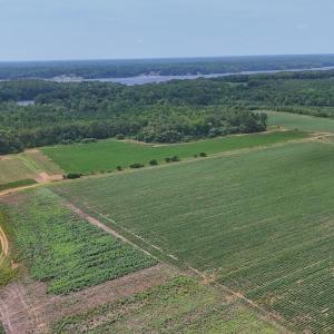 Photo #3 of Nc-46, Gaston, NC 10.0 acres