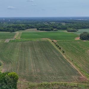 Photo #13 of Nc-46, Gaston, NC 10.0 acres