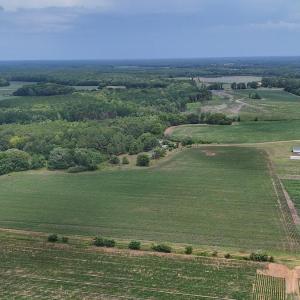 Photo #19 of Nc-46, Gaston, NC 10.0 acres