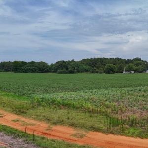 Photo #8 of Nc-46, Gaston, NC 10.0 acres