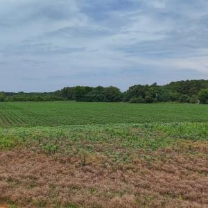 Photo #28 of Nc-46, Gaston, NC 10.0 acres