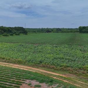Photo #31 of Nc-46, Gaston, NC 10.0 acres