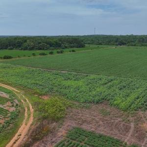 Photo #34 of Nc-46, Gaston, NC 10.0 acres