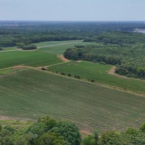 Photo #11 of Nc-46, Gaston, NC 10.0 acres