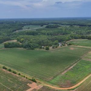 Photo #21 of Nc-46, Gaston, NC 10.0 acres