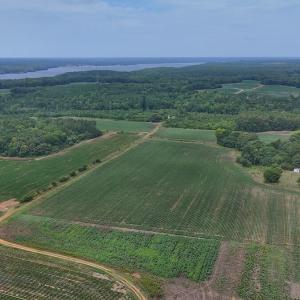 Photo #25 of Nc-46, Gaston, NC 10.0 acres
