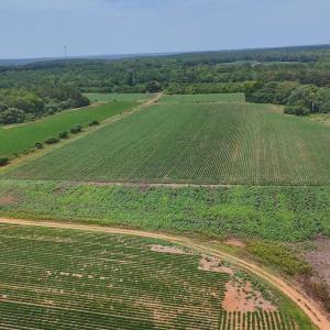 Photo #1 of Nc-46, Gaston, NC 10.0 acres