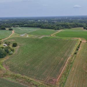 Photo #15 of Nc-46, Gaston, NC 10.0 acres