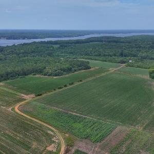 Photo #26 of Nc-46, Gaston, NC 10.0 acres