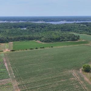 Photo #5 of Nc-46, Gaston, NC 10.0 acres