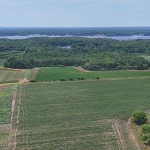 Photo #6 of Nc-46, Gaston, NC 10.0 acres
