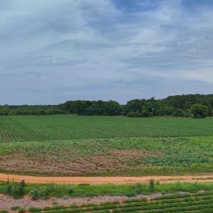 Photo #23 of Nc-46, Gaston, NC 10.0 acres