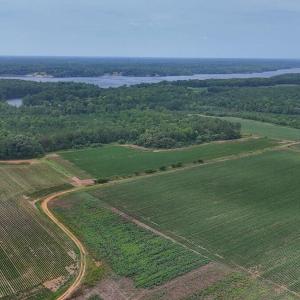 Photo #27 of Nc-46, Gaston, NC 10.0 acres