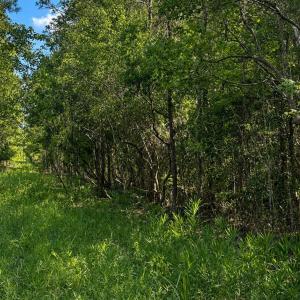 Photo #3 of Tbd Goldfinch, Southport, NC 0.3 acres