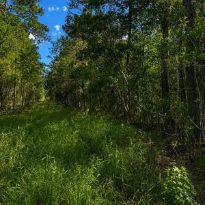 Photo #1 of Tbd Goldfinch, Southport, NC 0.3 acres