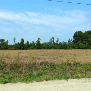 Photo #10 of 6609 Strickland, Green Sea, SC 4.7 acres
